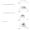 Doosan DL250-4 Wheel Loader Shop Service Manual - Image 9