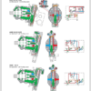 BOMAG BW 24 27 RH Service Manual - Image 12