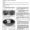 Bobcat S510 Skisteer Operation and Maintenance Manual - Image 8