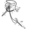 CASE 570LXT 580L SERIES 2 Parts Catalog - Image 6