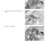 New Holland E175B E195B Excavator Service Manual - Image 12
