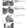 FENDT 411 412 413 414 415 VARIO COM III Workshop Manual - Image 16