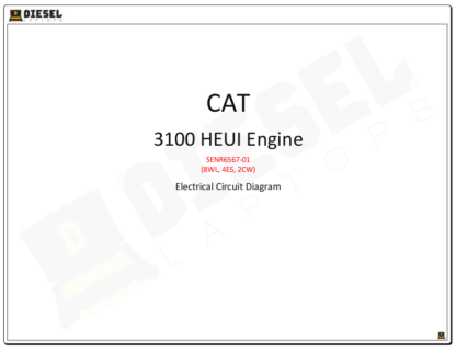 CAT - 3100 HEUI Systems.Prefix 8WL, 1WM, 4ES, or 2CW