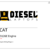 CAT - 3126E.Prefix DPF