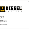 CAT - C-12 (Prefix 1YN)