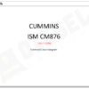 Cummins - ISM CM876 (2007-09)