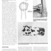 How To Modify Ford SOHC Engines - David Vizard - Image 13
