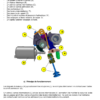 Injections MEV et MED 17.4 EP6 et EP6DT - Image 9
