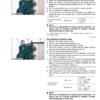 Kubota SM-E2B Diesel Engine Workshop Manual - Image 11