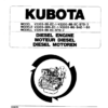 Kubota V2203 Diesel Engine Parts Catalog - Image 2