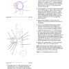 PERKINS 1103 and 1104 Disassembly and Assembly - Image 12