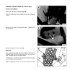 Bobcat 741 742 742B 743 743B 743DS Skidsteer Service Manual - Image 11