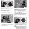 Bobcat S185 Operation Maintenance Manual - Image 9