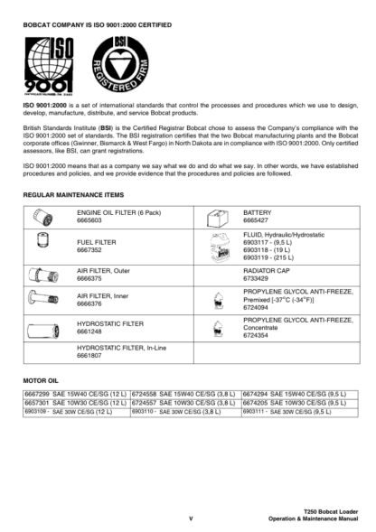 Bobcat T250 HF Operation Maintenance Manual 5256 5257 - Image 5