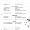 CASE 956 1056 XL Tractor Workshop Manual - Image 5
