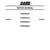 CASE F4GE9454H F4GE9454J F4GE9484D F4HE9484A Engine Repair Manual - Image 2