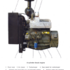 Deutz Weichai 226B Series Generating Diesel Engine Operation Manual - Image 5