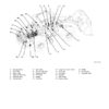 Hitachi ZW220 250 Wheel Loader Troubleshooting Manual - Image 9