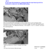 John Deere 6820 6920 6920S Tractor Repair Manual - Image 8