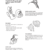 Volvo Penta 230 250 251 DOHC AQ131 AQ151 AQ171 Engine Workshop Manual - Image 8