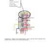 Volvo Penta 4.3GXi-A B C D- DPX420-B EFI Diagnostic Workshop Manual - Image 5