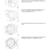 Volvo Penta SX-M  DP-SMSMTDSMTD1 Sterndrive Transom Shield Workshop Manual - Image 11