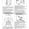 Valtra BH145 BH165 BH180 BH185i BH205i Tractors Operators Manual - Image 8