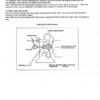 Yanmar 3TNV 4TNV Tier2 Engine Service Manual - Image 6