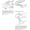 Volvo Penta D4 D6 D9 D12 D16 Marine Engines EVC Installation Manual - Image 6