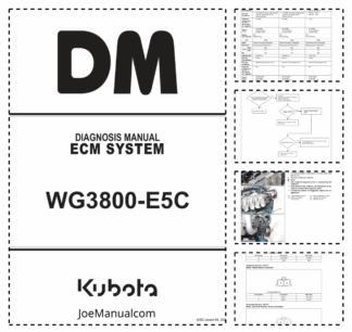 Kubota WG3800 E5C Engine Diagnosis Manual