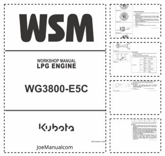 Kubota WG3800 E5C Engine Workshop Manual