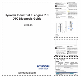Hyundai 2.9L E-engine DTC Diagnosis Guide Service Manual