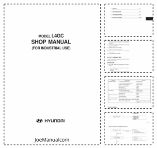 Hyundai HMC L4GC 2.0L Industrial Engine Service Manual