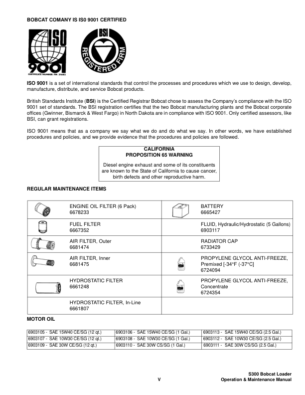 Bobcat S300 Loader Operation and Maintenance Manual 5215 5216 - Image 11