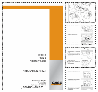 CASE DV213 Tier 3  Vibratory Roller Service Manual
