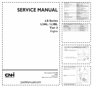 CASE LS Series L3AL L3BL Tier 3 Engine Service Manual