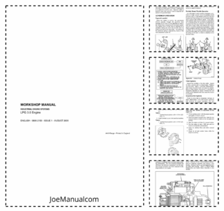Industrial Engine Systems 3.0L LPG Engine Workshop Manual