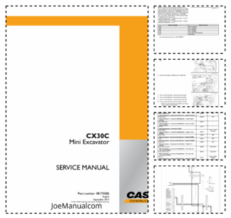 CASE CX30C Tier 4 Mini Excavator Service Manual 48175006