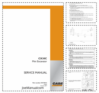 CASE CX30C Tier 4 Mini Excavator Service Manual 48175013