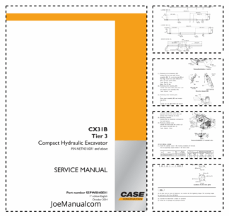 CASE CX31B Tier 3 Crawler Excavator Service Manual PIN NETN31001 and Above