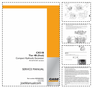 CASE CX31B Tier 4B Excavator Service Manual PIN NETN31001 and Above