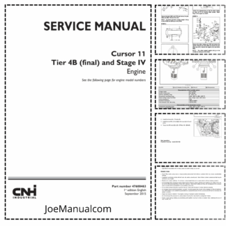 CASE Cursor 11 16 SST Tier 4B Final Stage IV Engine Service Manual