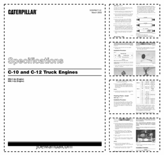 Caterpillar C10 C12 Truck Engine Service Information