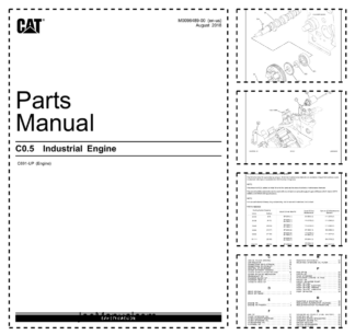 CAT C0.5 Industrial Engine Parts Catalog M0096489-00