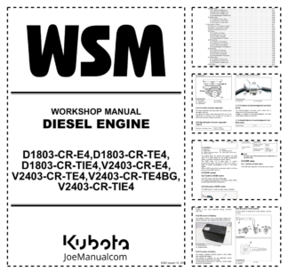 Kubota D1803 V2403 CR E4 TE4 TIE4 TE4BG Diesel Engine Workshop Manual
