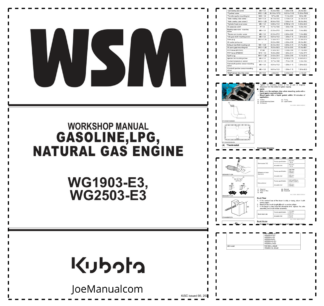 Kubota WG1903-E3 WG2503-E3 Gasoline LPG NG Engine Workshop Manual