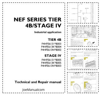 IVECO NEF Series Tier 4B Stage IV Engine Repair Manual