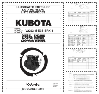 Kubota V2203-M-E3B-BRK-1 Engine Parts Catalog