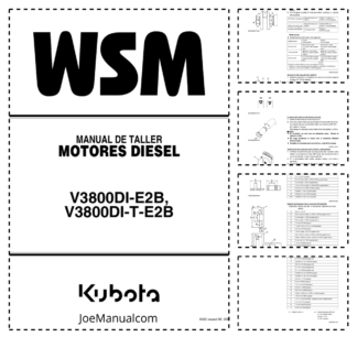Kubota V3800DI-E2B V3800DI-T-E2B Engine Workshop Manual ES