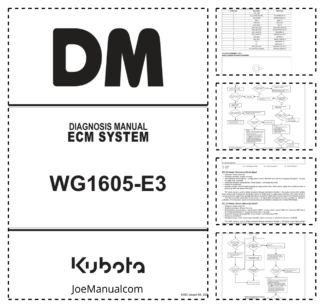 Kubota WG1605-E3 ECM System Diagnosis Manual